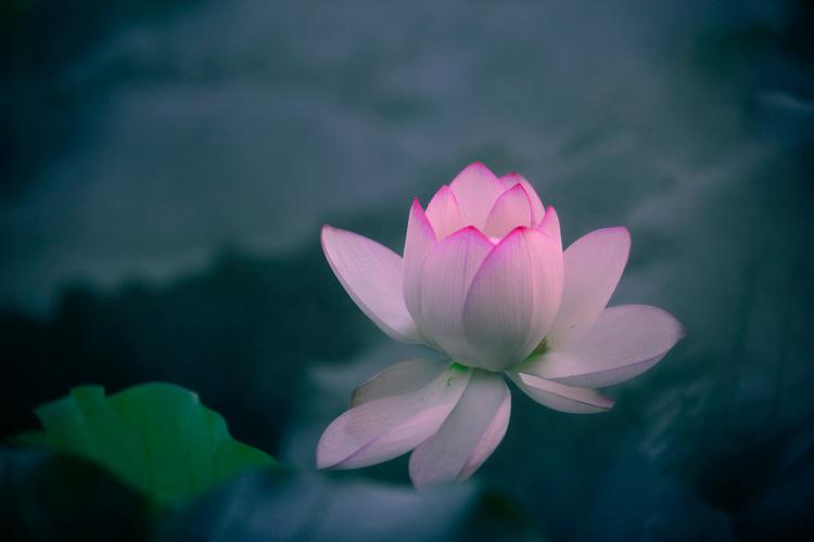 cách massage đầu hiệu quả kết hợp bấm huyệt